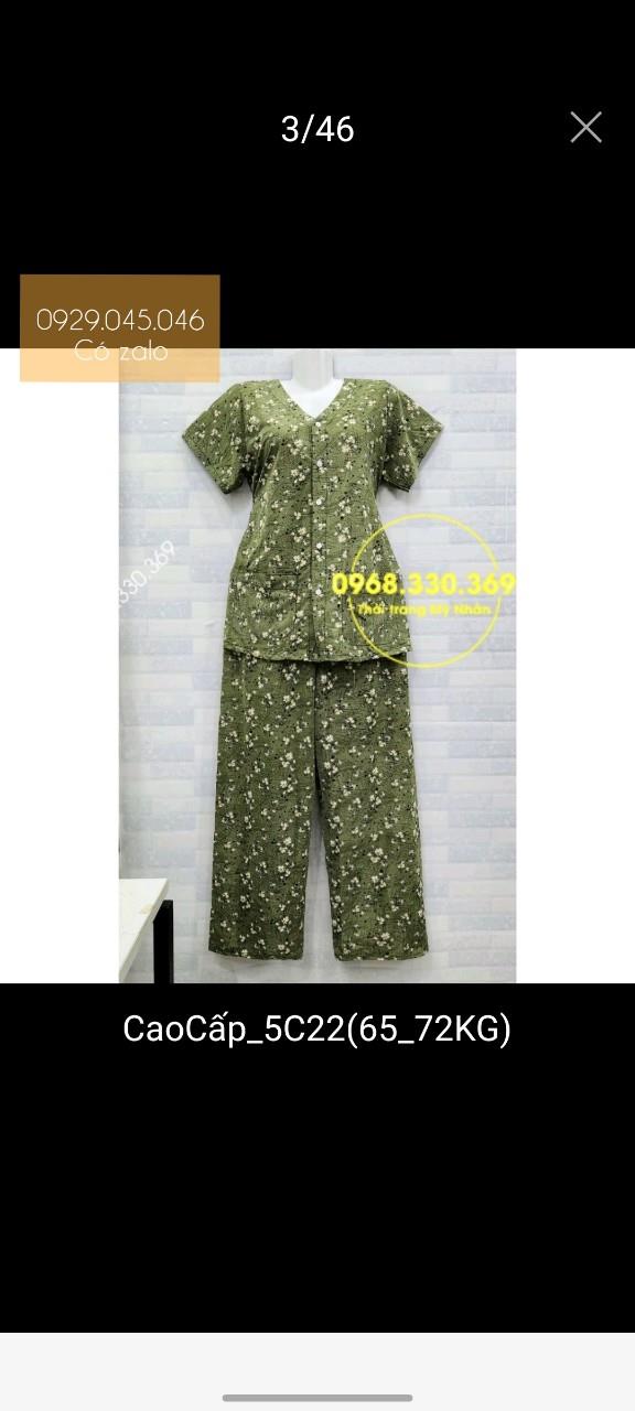 Đồ bộ cho bà tay ngắn quần dài cài nút vải thun lạnh Hàn Quốc cao cấp - PN158441