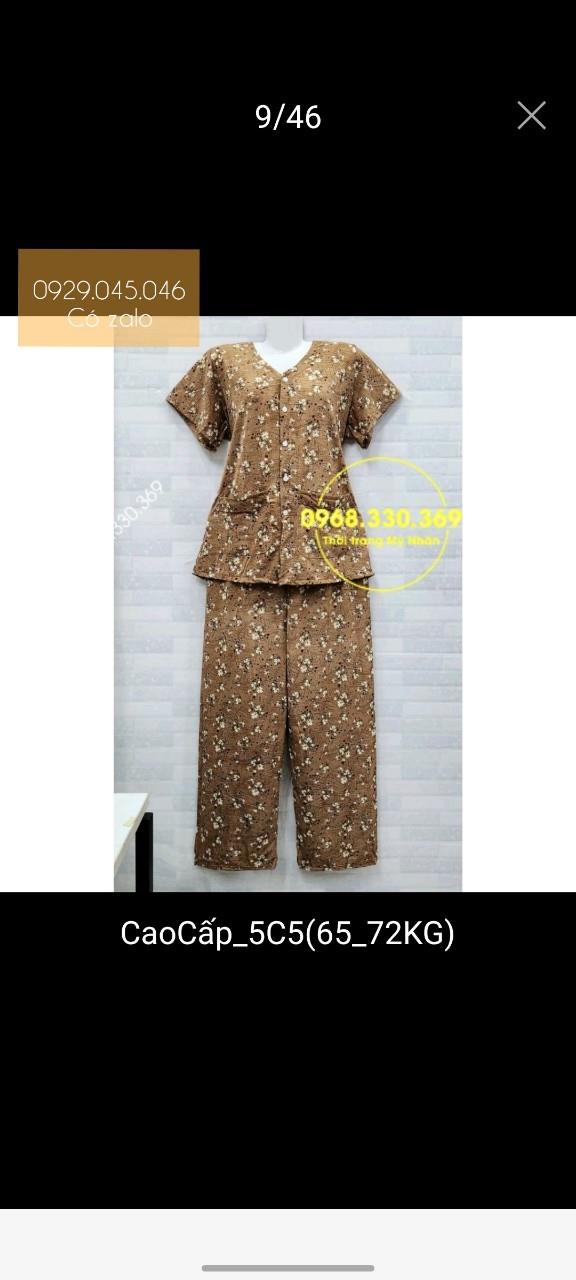 Đồ bộ cho bà tay ngắn quần dài cài nút vải thun lạnh Hàn Quốc cao cấp - PN158441